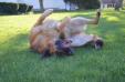 Spring photo gallery