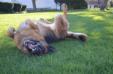 Spring photo gallery