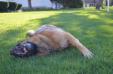 Spring photo gallery