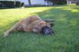 Spring photo gallery