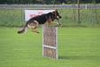 1meter jump 