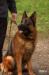 Enosch 2012.04.25