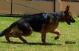 ILBO with 9,5 months