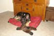 Napping