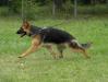 Erna move1