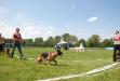 Quenny in the ring