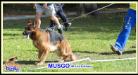 Musgo