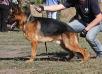 pictures and training
