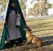 Breeding malinois female