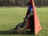 bark and hold