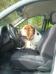 basset hound in car