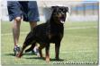 Pictures of Shana