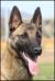 Thor 9 months