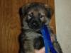 Baby Picture