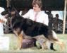 Waltraut's That's Black Jack with Billy Rossi