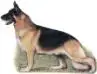 Woodside Nestlequik Merwestyn (Grand Victor)