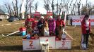 Voronezh 2012. Chipsy-best puppy