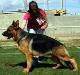 ILBO on show with 19 months (24/03/2013)