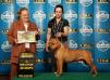 Campeão Panamericano Cout do Elite Bulls