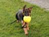 14 weeks