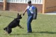 Tank @ 17 Months