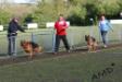 Barak with handler and breeder Colm Cussen