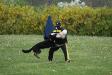 Upper Bucks Schutzhund CLub Spril 2008 Trial