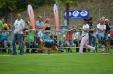 DUX ACTION - SVO VELDEN 2013