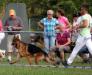 BASKO DELLA REAL FAVORITA LG17 Nordhausen - Landesgrup Sieger SG 1 Jugendklasse Rüden LG17 - Germany  4 Agosto 2013 - Judge : Teubert Thomas