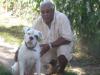 DPK'S Big Peedy Posko Of Temple Kennel