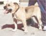 CH(97) ESP Atroc D'es Puig Des Teix