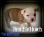 Smith's Hutch