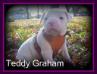 Smith's Teddy Graham