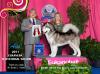 <span style="color: darkred">BIS INT AM GCHS</span> Pale Moon's Lady's A Charm <span style="color: darkblue">ROM, ROMWD, AMCA 2011 Nat'l Specialty SB, 2011 Westminster & Eukanuba BOS, 2 TOP 20</span>