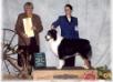 AKC CH Moonstrucks Power And Glory