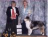 HOF AKC/ASCA CH Moonstrucks Mi-T Minerva / Moonstruck's Shameless Hussy