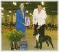 AKC CH. UKC GR INT. Karma N Ironstone's Sweet Emotion