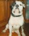  Billy