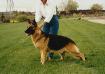 Athos van Dan Alhedy's Hoeve