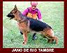 SG Jano de Rio Tambre