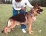 Vick de Jalex