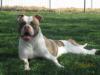 Bridge Creek's Lucy Von D