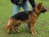 Betty von der Roten Matter