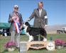 HOF GCH AKC/ASCA CH Harmony Hill's Money Talks