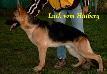 Luck vom Hutberg