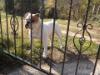 Gangsta's Bulldogs D-Block Jr.