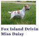  Fox Island Driving Miss Daisy