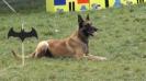 Doglandsportdog A'Tim