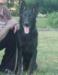Maximus Vom Underland