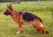 V Xanthie vom Schloss Runding